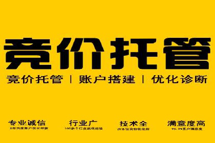 行业内的SEM运营推广成功故事分享